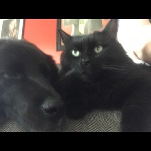 Meet your Posher, Nancy